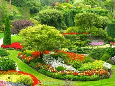 Зеленый сад: красота или польза?