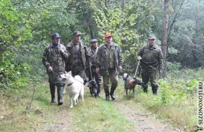 группа охотников с собаками