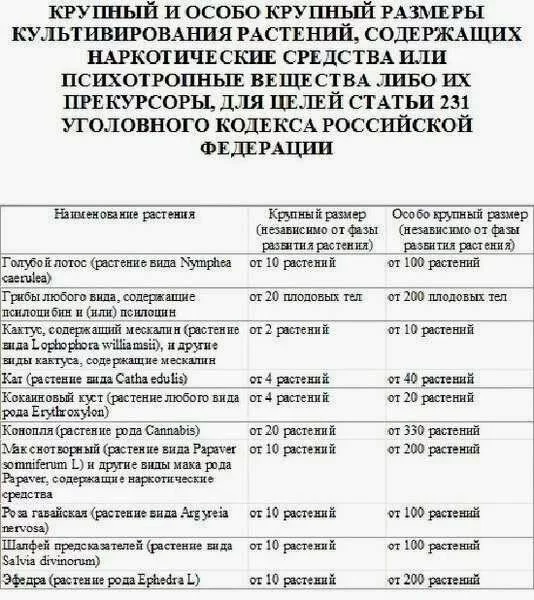 таблица запрещенных растений в россии