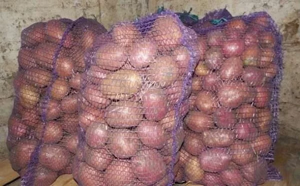 картошка в мешке-сетке